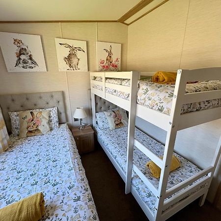 Cottontail Lodge - Hot Tub - Pet Friendly 南塞尔尼 外观 照片